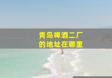 青岛啤酒二厂的地址在哪里