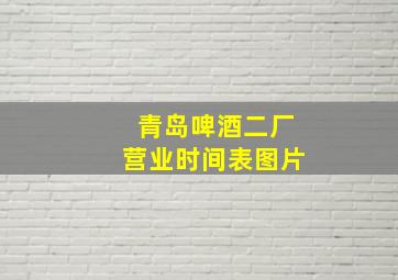 青岛啤酒二厂营业时间表图片