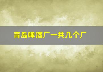 青岛啤酒厂一共几个厂