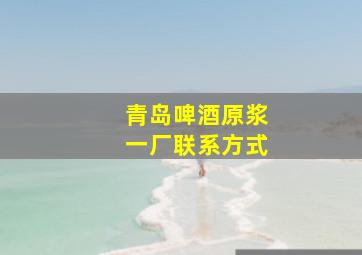 青岛啤酒原浆一厂联系方式