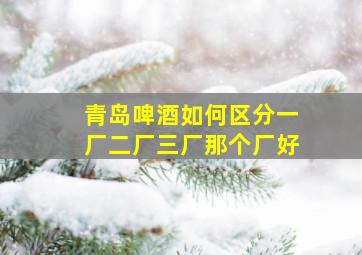 青岛啤酒如何区分一厂二厂三厂那个厂好