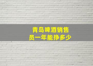 青岛啤酒销售员一年能挣多少