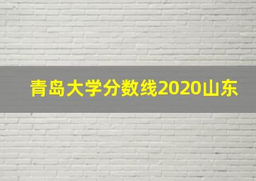 青岛大学分数线2020山东