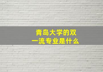 青岛大学的双一流专业是什么