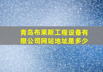 青岛布莱斯工程设备有限公司网站地址是多少