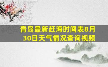 青岛最新赶海时间表8月30日天气情况查询视频