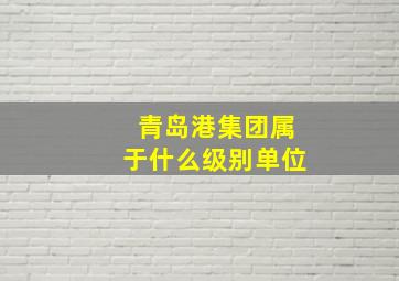 青岛港集团属于什么级别单位