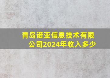 青岛诺亚信息技术有限公司2024年收入多少