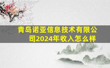 青岛诺亚信息技术有限公司2024年收入怎么样