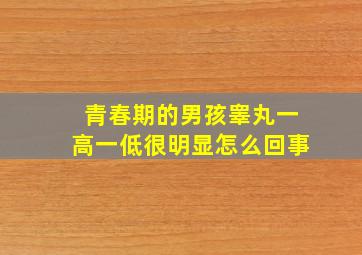 青春期的男孩睾丸一高一低很明显怎么回事