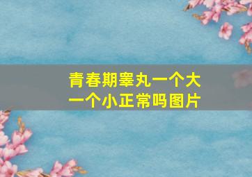 青春期睾丸一个大一个小正常吗图片