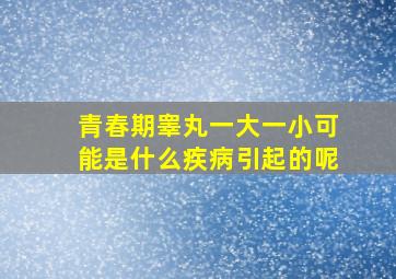 青春期睾丸一大一小可能是什么疾病引起的呢