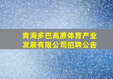 青海多巴高原体育产业发展有限公司招聘公告