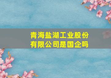 青海盐湖工业股份有限公司是国企吗