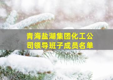 青海盐湖集团化工公司领导班子成员名单