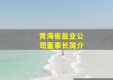 青海省盐业公司董事长简介