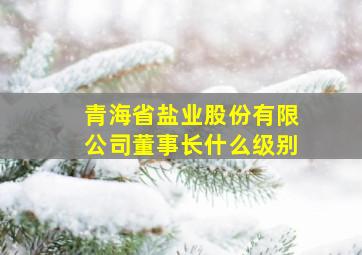 青海省盐业股份有限公司董事长什么级别