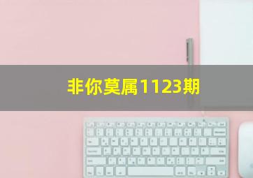 非你莫属1123期