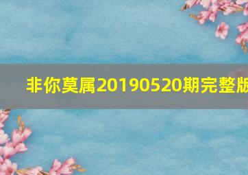 非你莫属20190520期完整版