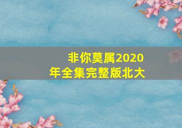 非你莫属2020年全集完整版北大