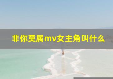 非你莫属mv女主角叫什么