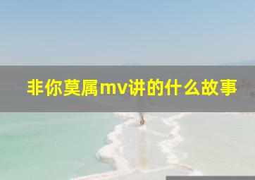 非你莫属mv讲的什么故事