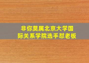 非你莫属北京大学国际关系学院选手怼老板