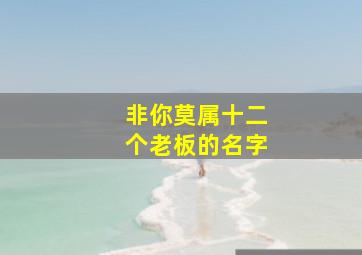 非你莫属十二个老板的名字