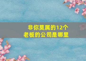 非你莫属的12个老板的公司是哪里