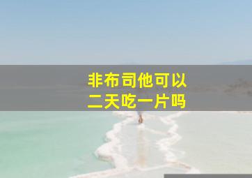 非布司他可以二天吃一片吗