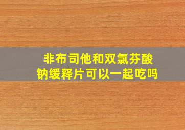 非布司他和双氯芬酸钠缓释片可以一起吃吗