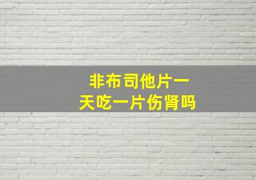 非布司他片一天吃一片伤肾吗