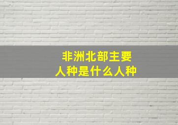 非洲北部主要人种是什么人种