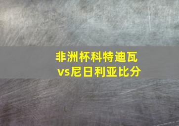 非洲杯科特迪瓦vs尼日利亚比分