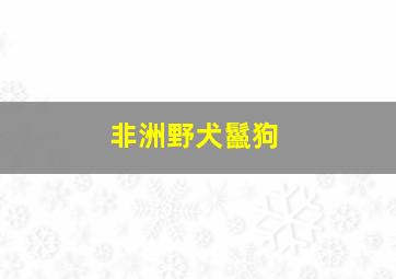 非洲野犬鬣狗