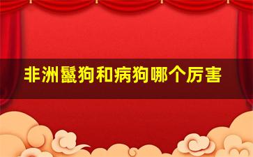 非洲鬣狗和病狗哪个厉害