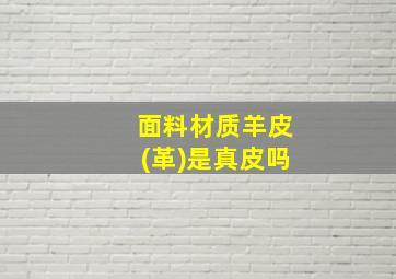 面料材质羊皮(革)是真皮吗