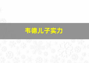 韦德儿子实力