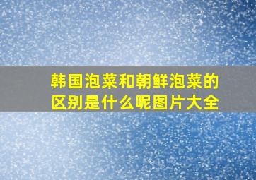 韩国泡菜和朝鲜泡菜的区别是什么呢图片大全