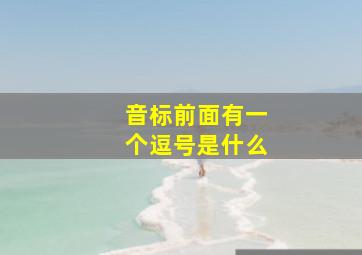 音标前面有一个逗号是什么