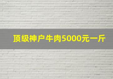 顶级神户牛肉5000元一斤