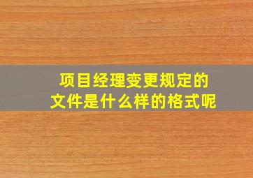 项目经理变更规定的文件是什么样的格式呢