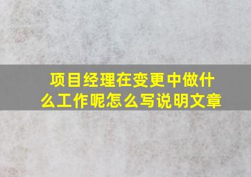 项目经理在变更中做什么工作呢怎么写说明文章