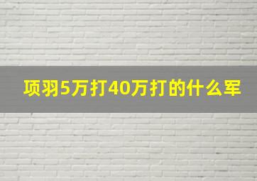 项羽5万打40万打的什么军