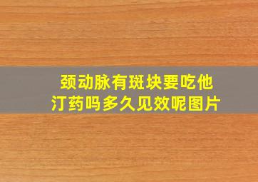 颈动脉有斑块要吃他汀药吗多久见效呢图片