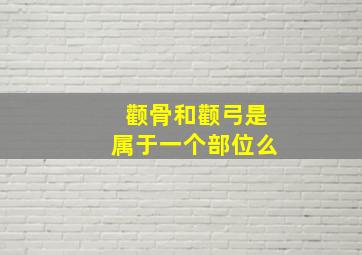 颧骨和颧弓是属于一个部位么