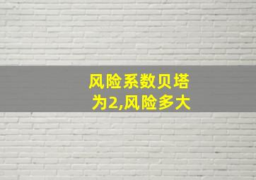 风险系数贝塔为2,风险多大