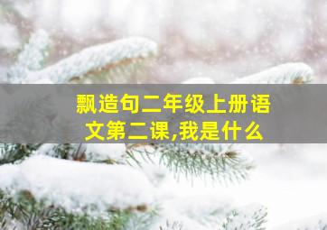 飘造句二年级上册语文第二课,我是什么