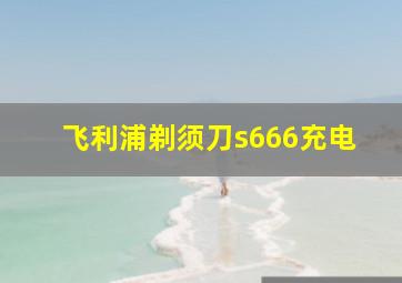 飞利浦剃须刀s666充电