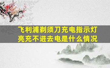 飞利浦剃须刀充电指示灯亮充不进去电是什么情况